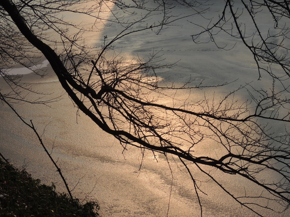 f0118332_20265782.jpg