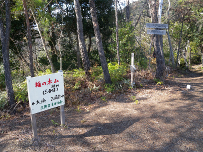 e0272335_20314463.jpg