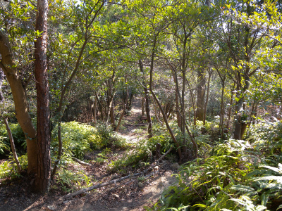 e0272335_20381092.jpg