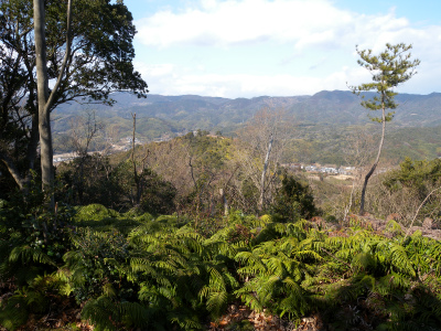 e0272335_20525942.jpg