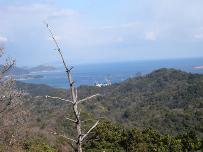 e0272335_2122411.jpg