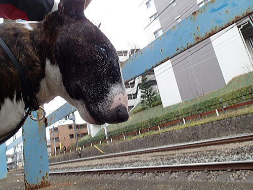 f0094843_0523474.jpg