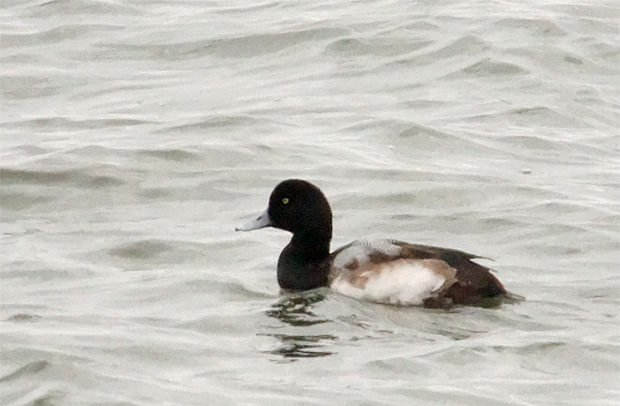 f0214649_1142443.jpg