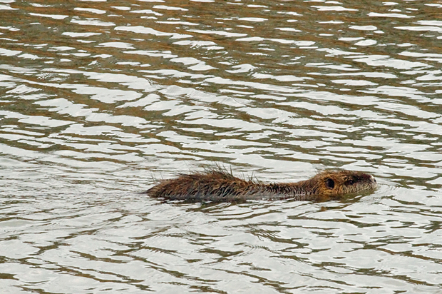 f0214649_1202082.jpg
