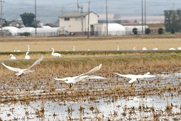 f0214649_12375974.jpg
