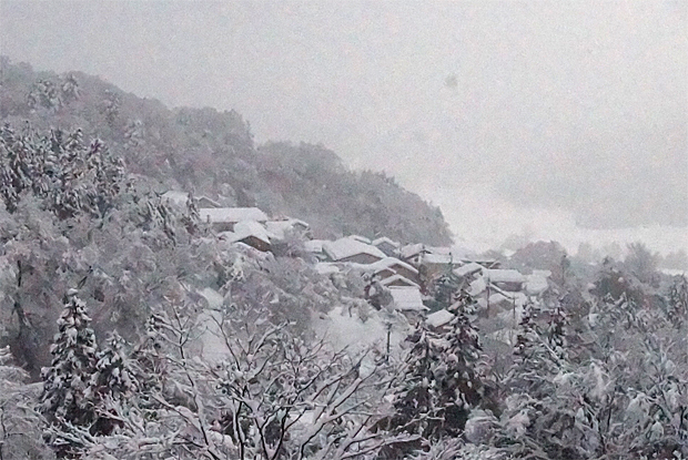 f0214649_15373566.jpg
