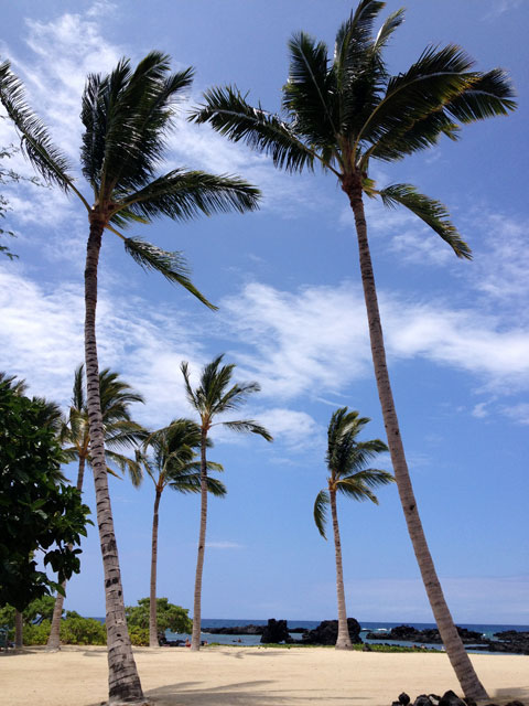 f0247849_2361435.jpg
