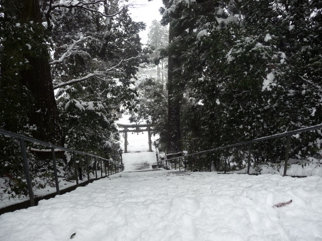 f0208760_65407.jpg