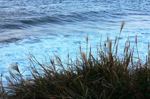 c0204385_20551379.jpg