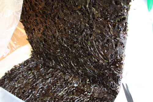 c0204385_20555851.jpg
