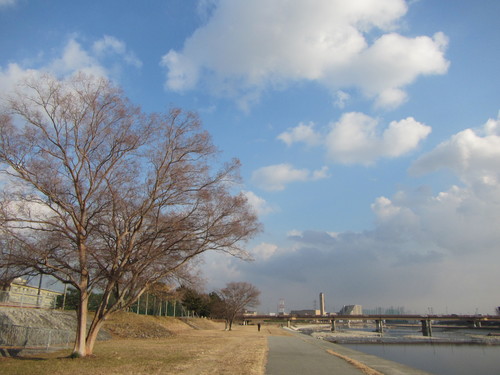 a0251786_22374197.jpg