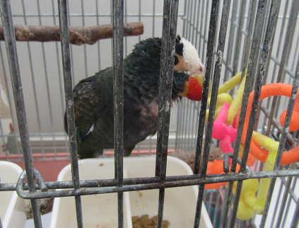 f0234590_8233823.png