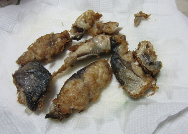 f0234590_8273851.png
