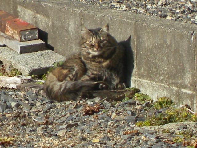 a0199297_1656040.jpg