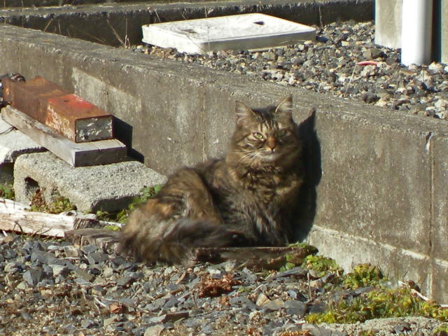 a0199297_1783874.jpg