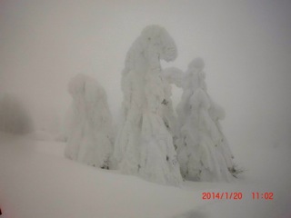 c0151898_15464988.jpg