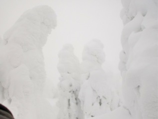 c0151898_1548734.jpg
