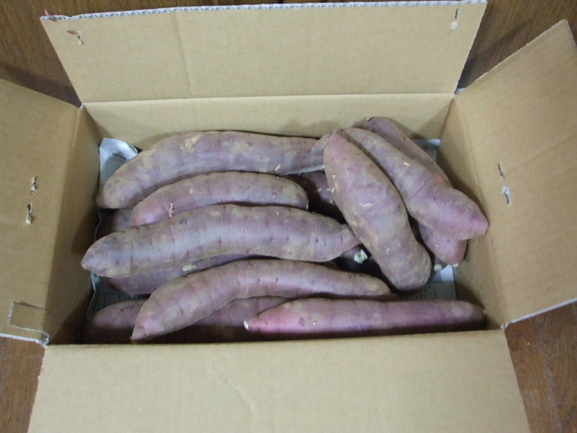 f0019498_20454437.jpg