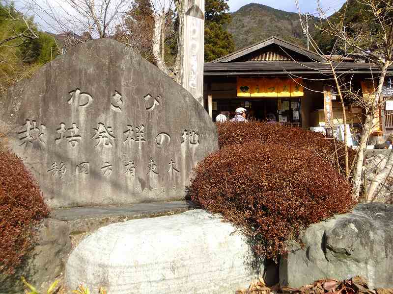 a0188405_18424189.jpg