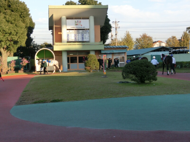 c0110906_145047.jpg