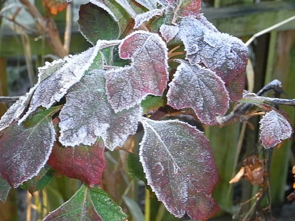 a0208116_19104296.jpg