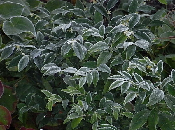 a0208116_1994314.jpg