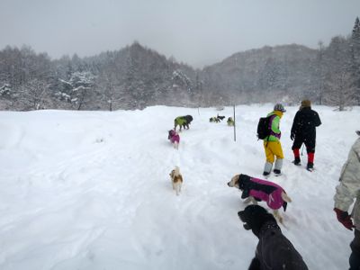 e0192217_1164713.jpg
