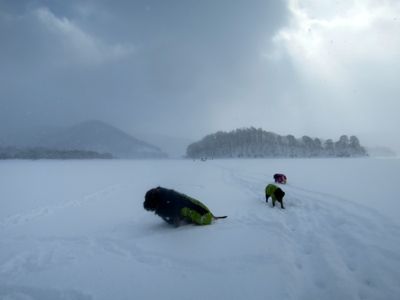 e0192217_12115819.jpg