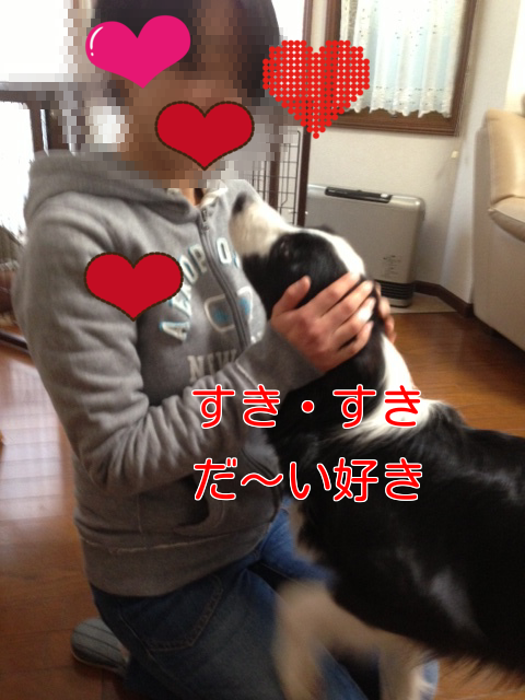 a0232619_19282859.png