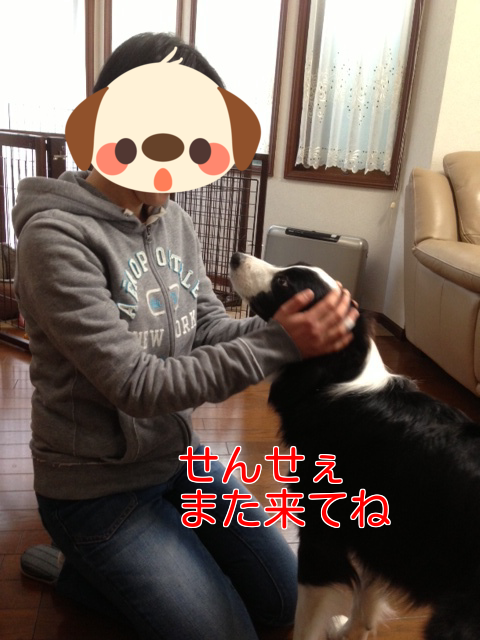 a0232619_19395367.png