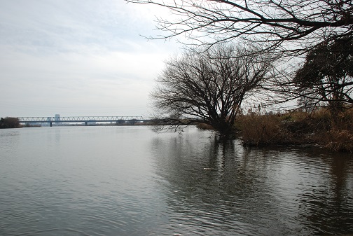 f0000521_10333934.jpg
