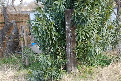 f0000521_1101872.jpg