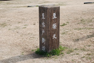 f0000521_1103531.jpg