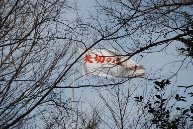 f0000521_1122964.jpg