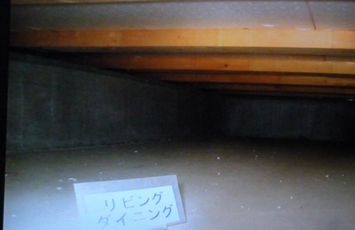 e0033229_22215144.jpg