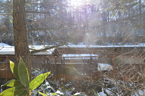 f0124830_2316395.jpg