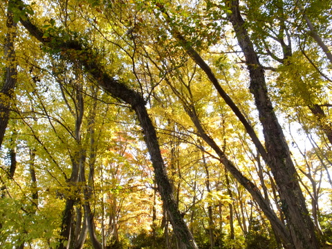 b0281732_1723876.jpg
