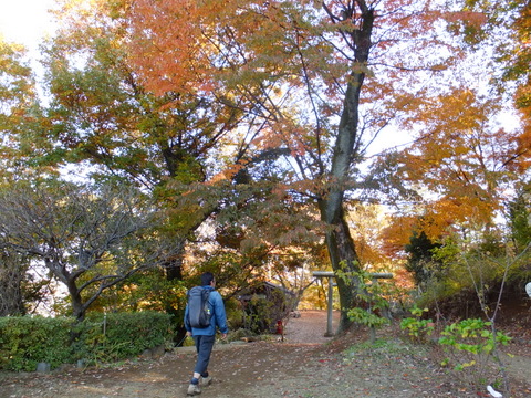 b0281732_17261.jpg