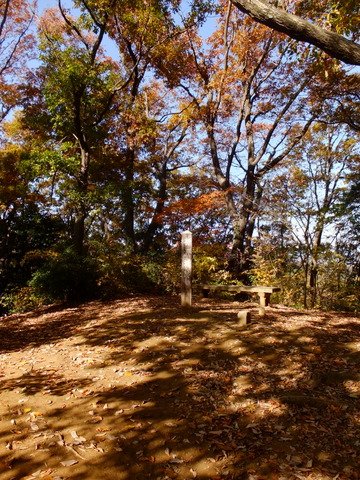 b0281732_173493.jpg