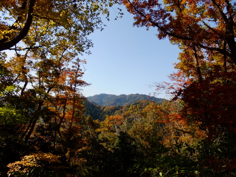 b0281732_1742217.jpg