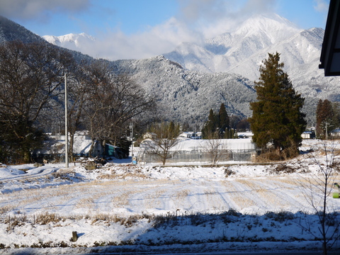 a0305533_7584210.jpg