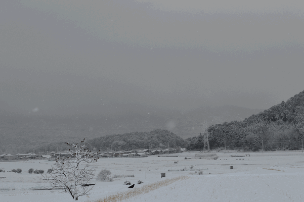 c0136736_1545580.gif
