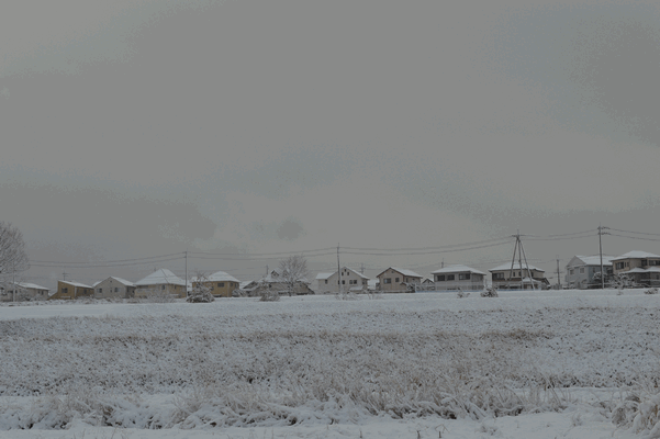 c0136736_154731.gif