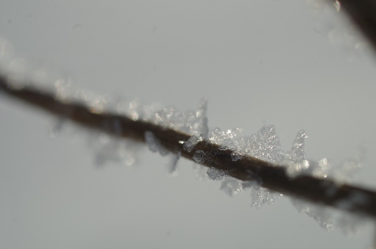 d0165741_1736087.jpg