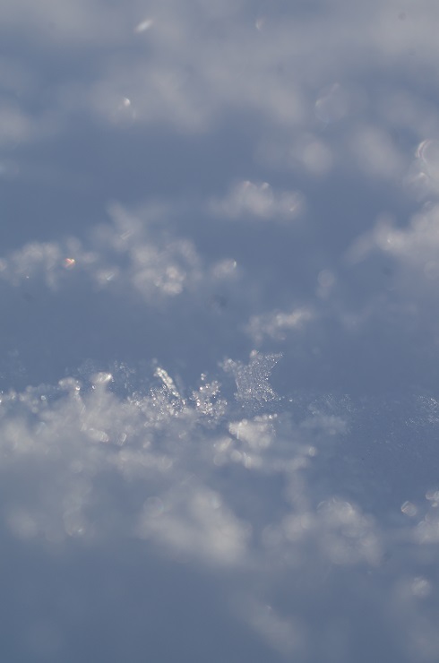 d0165741_17363417.jpg