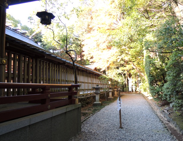 b0173754_15334367.jpg