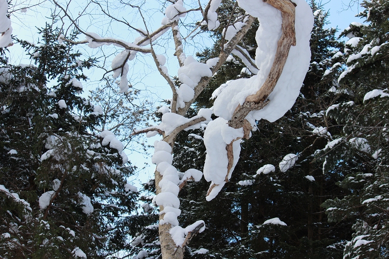 b0250154_22295582.jpg