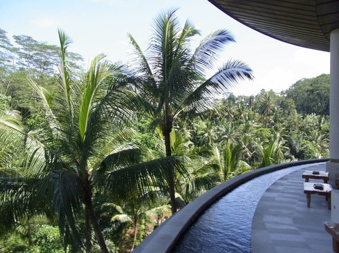 d0005157_171047.jpg