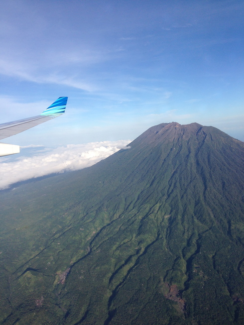 d0005157_1714098.jpg