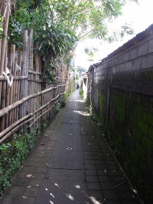 d0005157_1731449.jpg